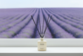 Bild in Galerie laden, PROVENCE LAVENDER - Premium Reed Diffuser 100ml