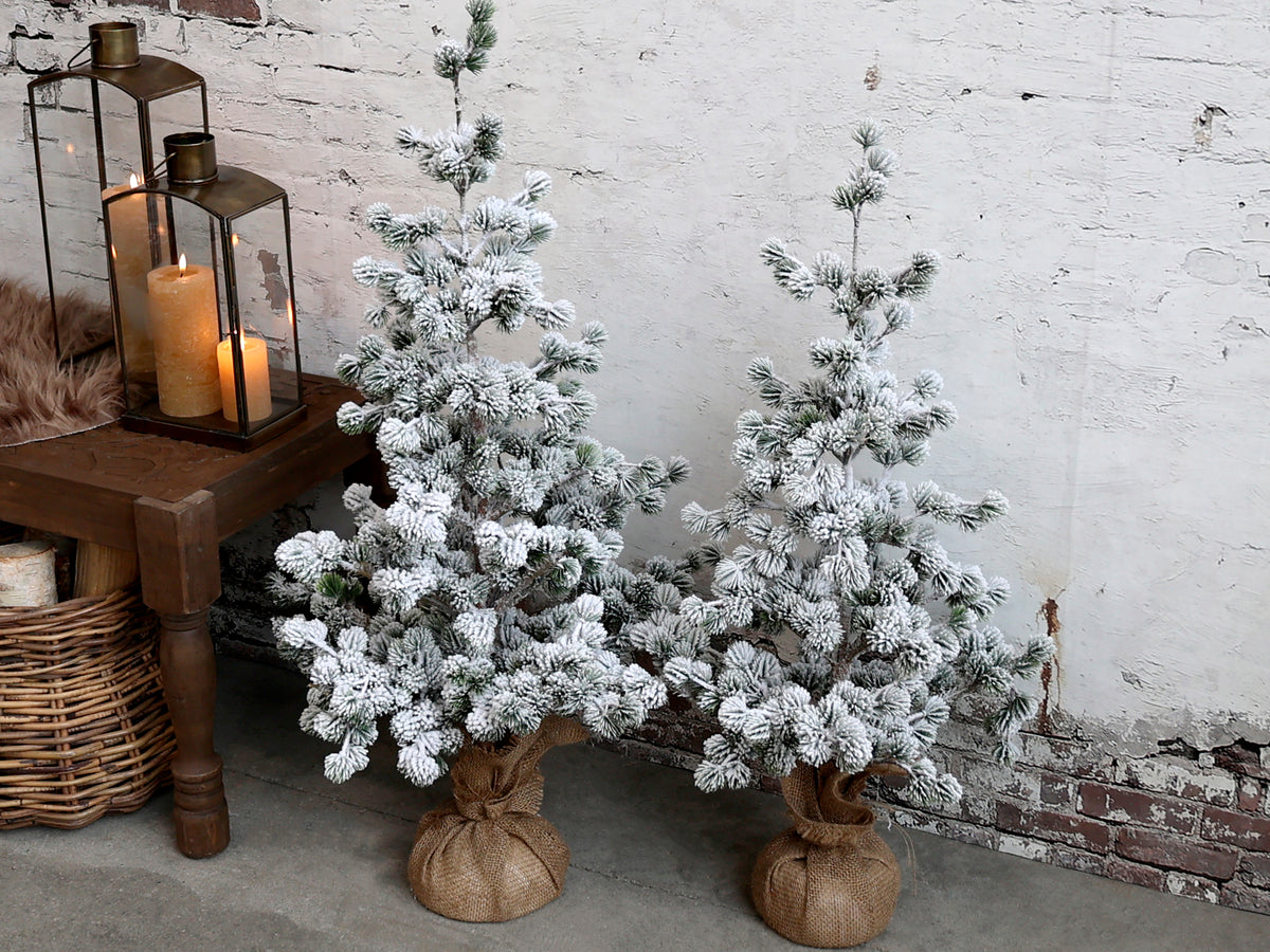 Cedar Tree with Snow | H: 80 cm