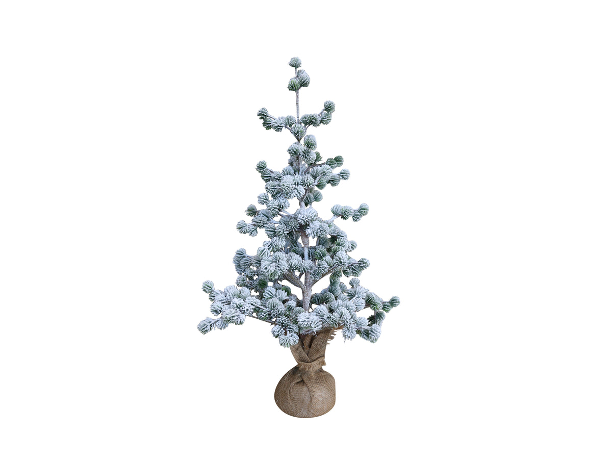 Cedar Tree with Snow | H: 80 cm
