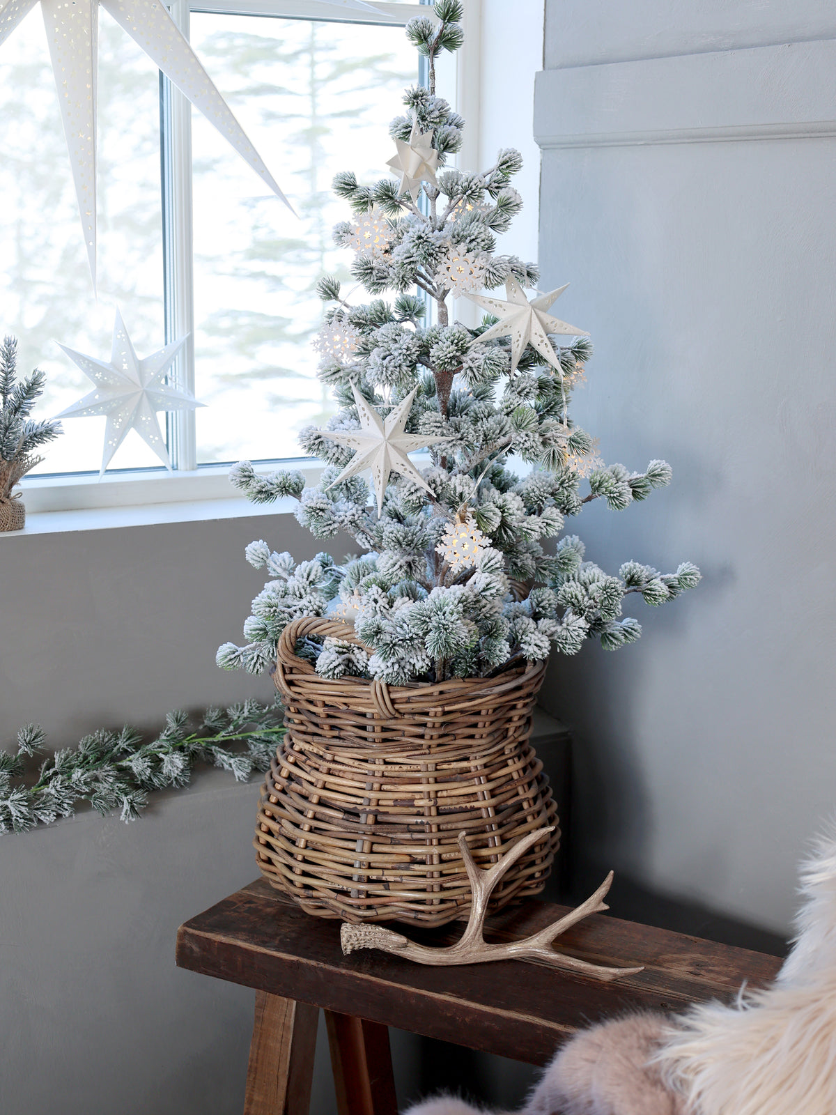 Cedar Tree with Snow | H: 80 cm