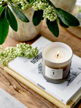 Bild in Galerie laden, NO. 1 - Parsley Lime Duftkerze 50 Std. / 200 gr