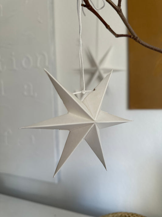 Papiersterne im Set 2 Stück | warmes grau