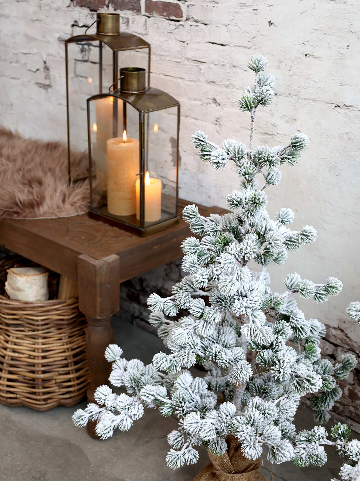 Cedar Tree with Snow | H: 80 cm