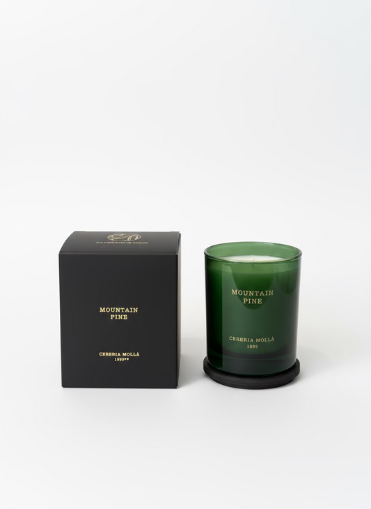 MOUNTAIN PINE - Premium Boutique Duftkerze 230g