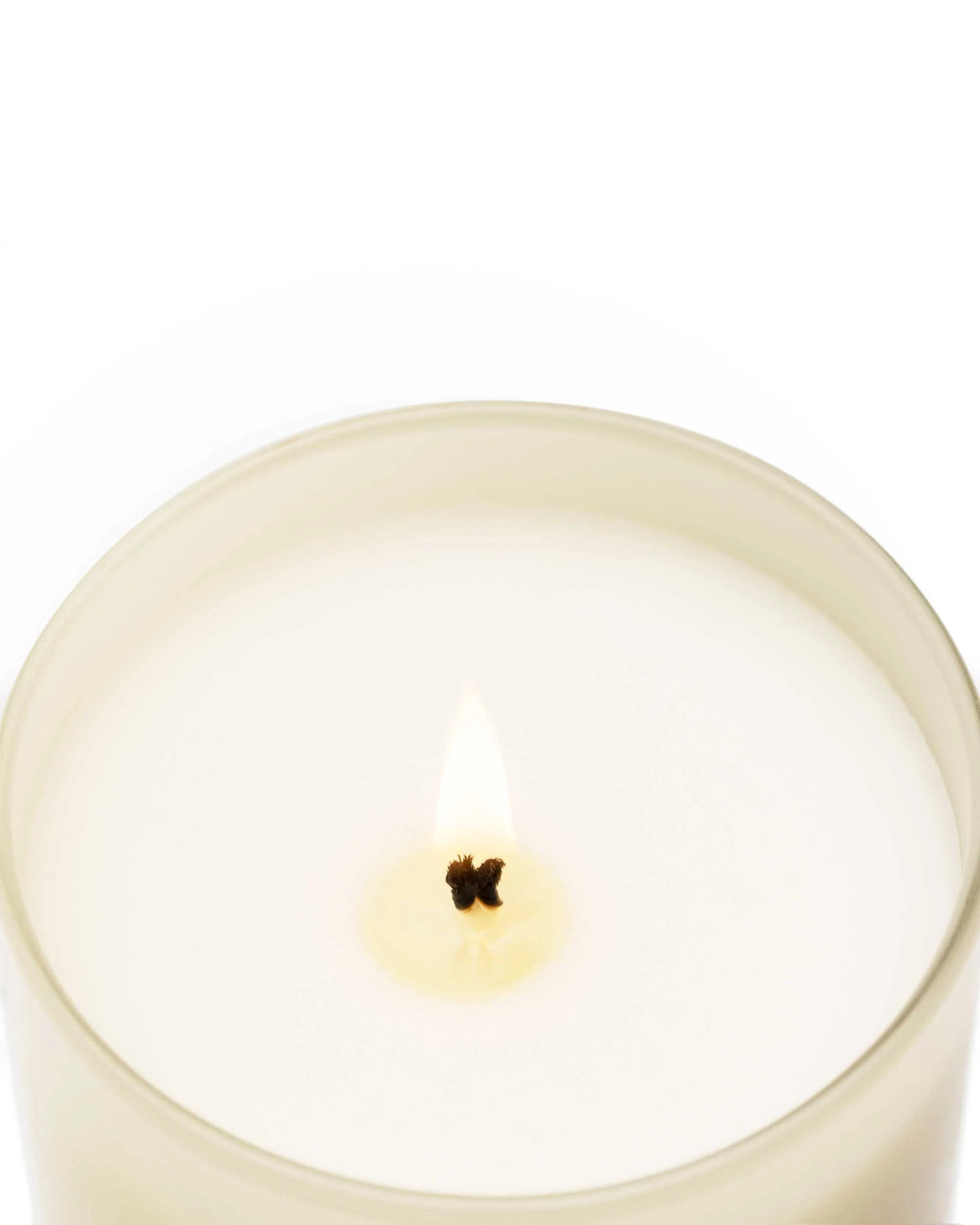 MOROCCAN CEDAR – Duftkerze 230 g