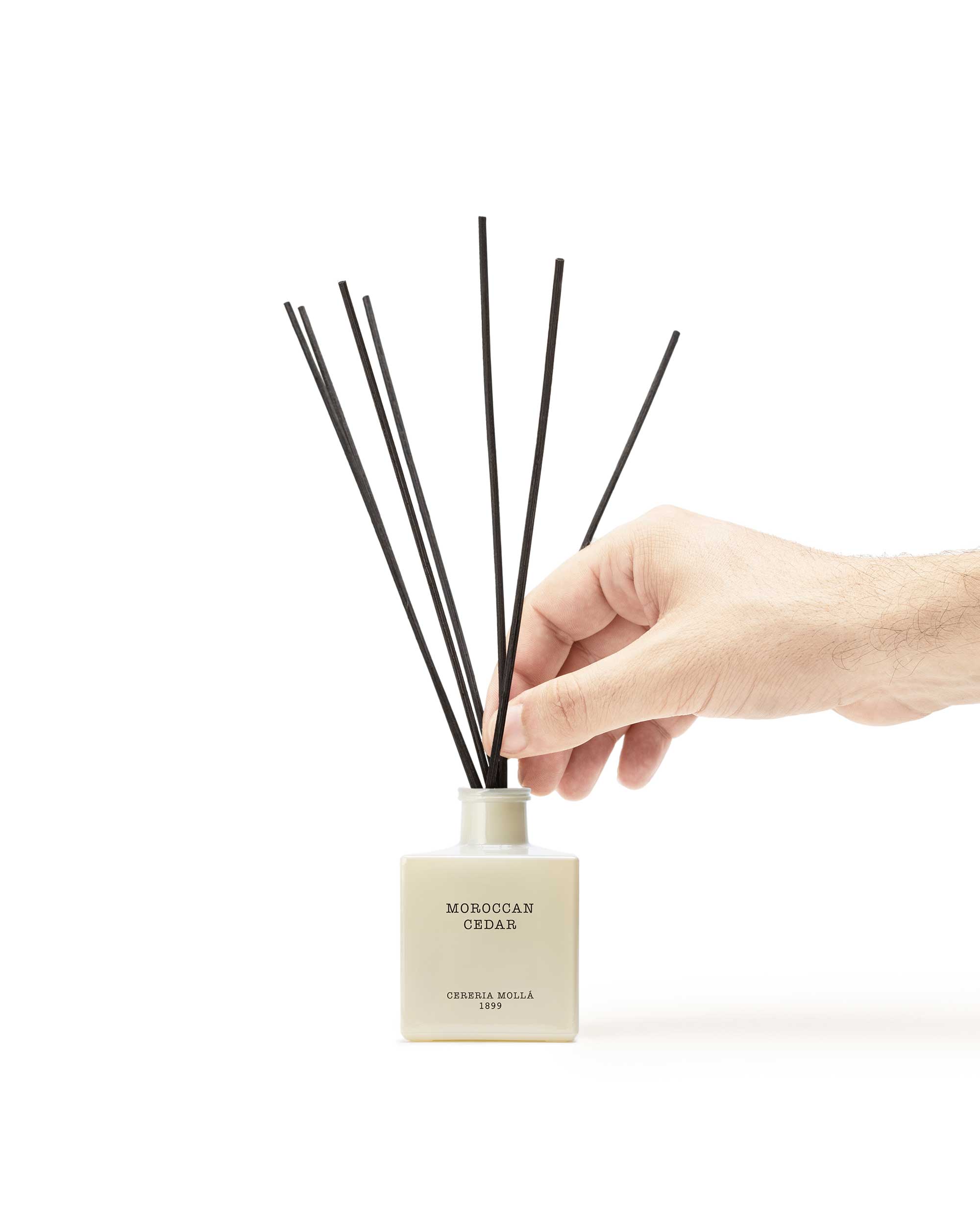 MOROCCAN CEDAR - Premium Reed Diffuser 100ml
